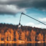 Czy kolor przynęty ma znaczenie?