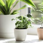 Poszukiwane parapety granitowe w Krakowie – gdzie kupić?