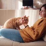 Wpływ kota na psychikę człowieka