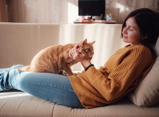 Wpływ kota na psychikę człowieka