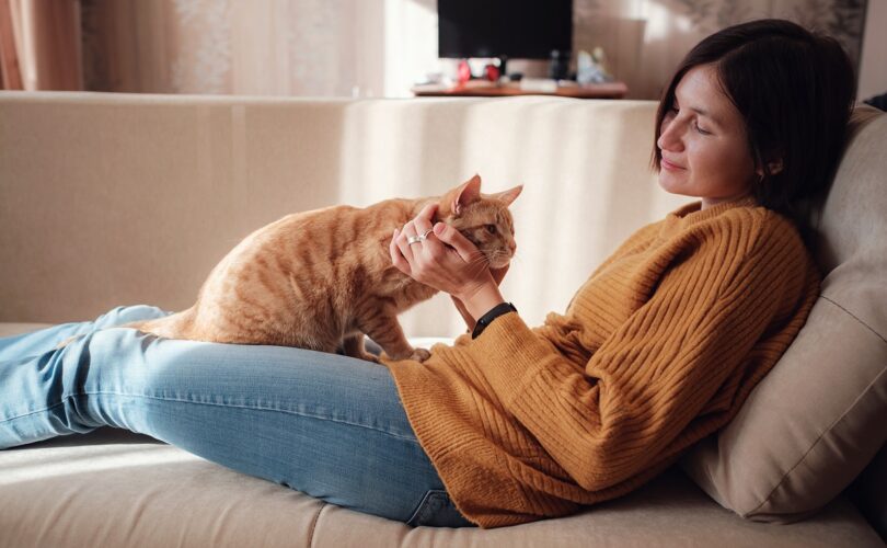 Wpływ kota na psychikę człowieka